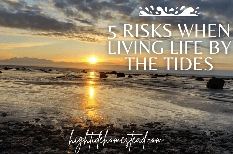 5 Risks When Living Life By The Tides - hightidehomestead.com
