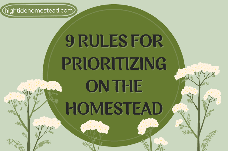 9 Rules For Prioritizing On The Homestead - hightidehomestead.com