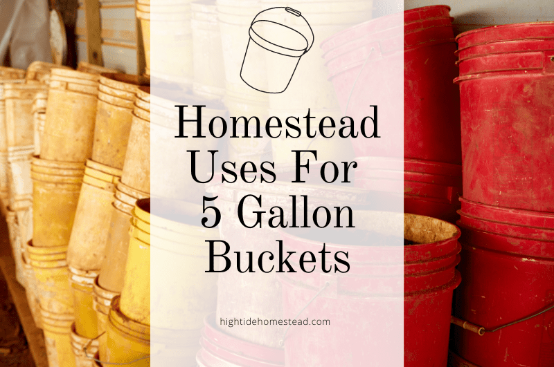 Homestead Uses For 5 Gallon Buckets - hightidehomestead.com