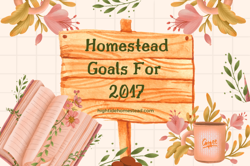 Homestead Goals For 2017 - hightidehomestead.com