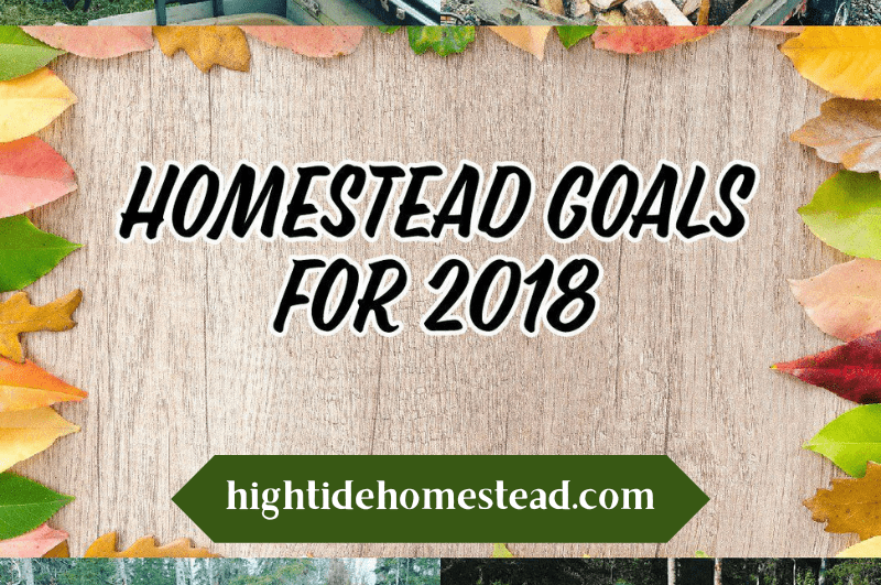 Homestead Goals For 2018 - hightidehomestead.com