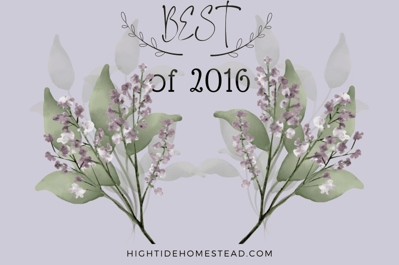 Best of 2016 - hightidehomestead.com