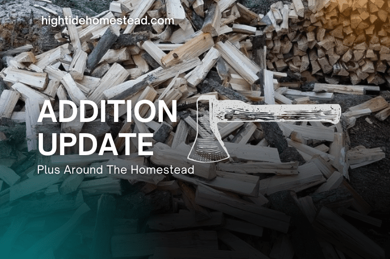 Addition Update, Plus Around The Homestead - hightidehomestead.com