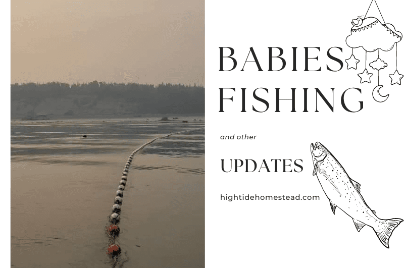 Babies, Fishing and other Updates - hightidehomestead.com