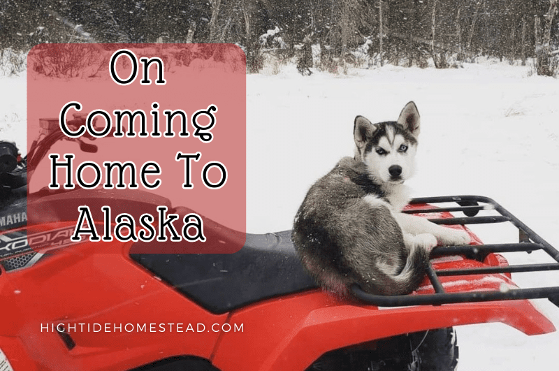 On Coming Home To Alaska - hightidehomestead.com