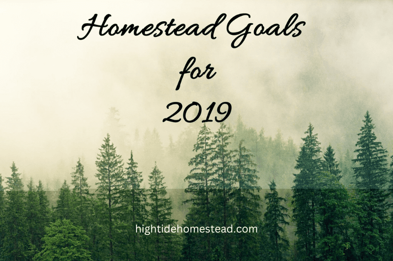 Homestead Goals For 2019 - hightidehomestead.com