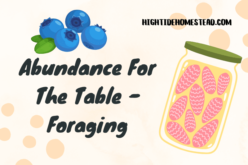Abundance For The Table - Foraging hightidehomestead.com
