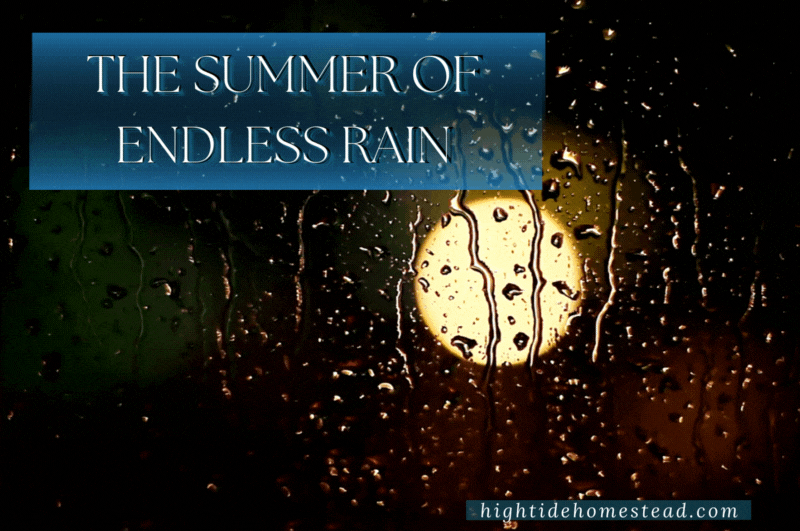 The Summer Of Endless Rain - hightidehomestead.com