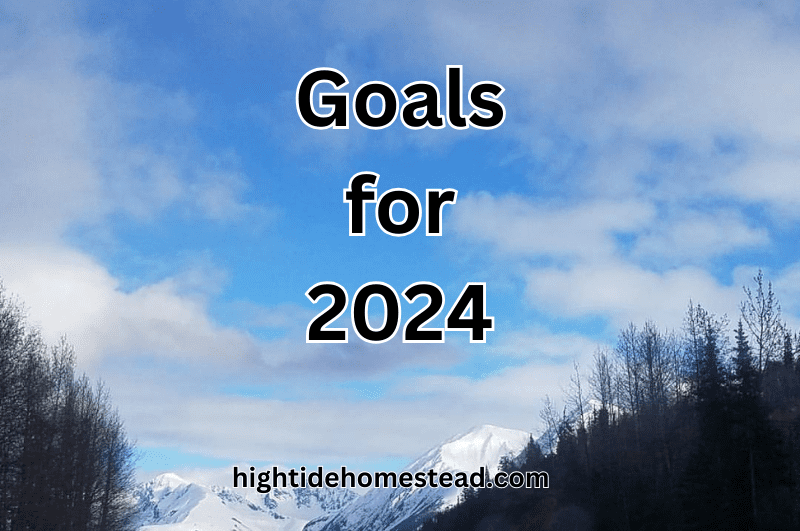 Goals for 2024 - hightidehomestead.com