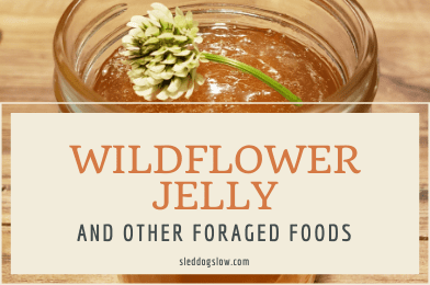 Wildflower Jelly and Other Foraged Foods - sleddogslow.com