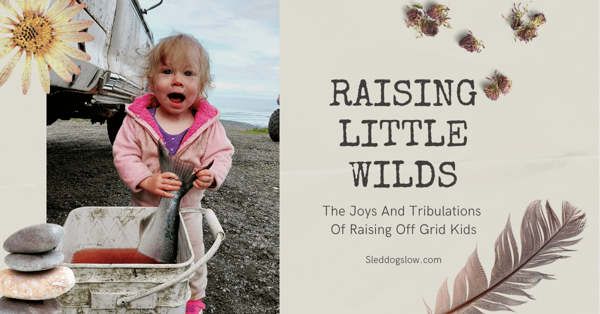 Raising Little Wilds - Off Grid Kids