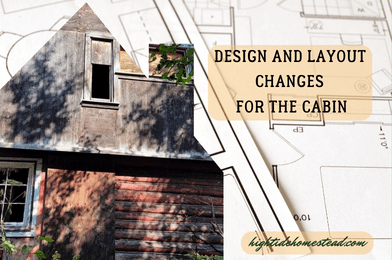 Design and Layout Changes for the Cabin - hightidehomestead.com