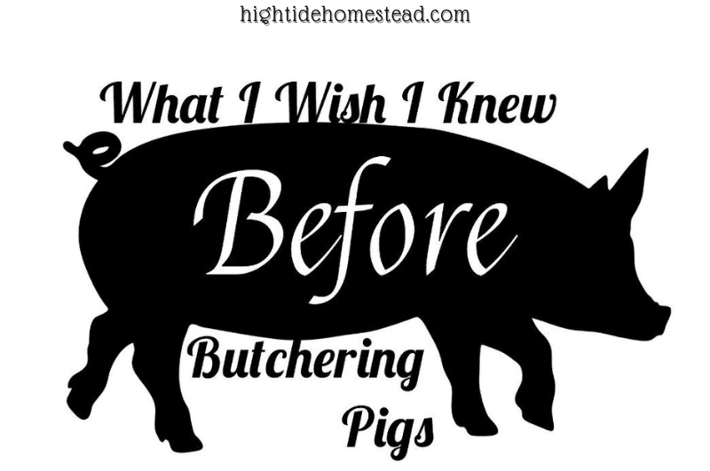 What I Wish I Knew Before Butchering Pigs - hightidehomestead.com