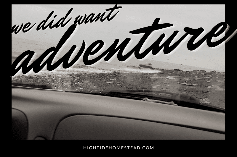 We Did Want Adventure - hightidehomestead.com