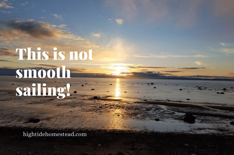 this is not smooth sailing! - hightidehomestead.com