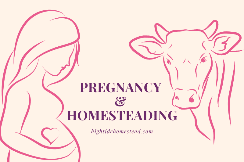 Pregnancy and Homesteading - hightidehomestead.com