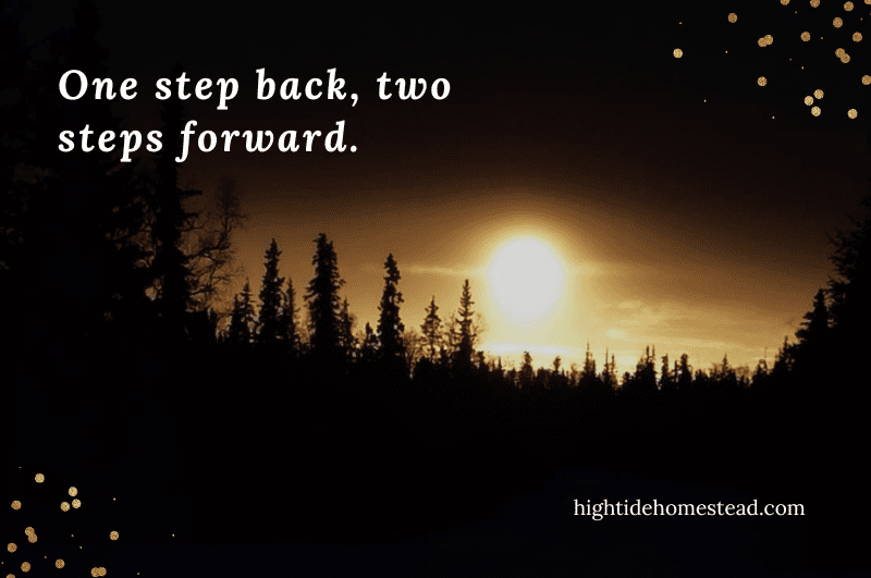 one step back, two steps forward - hightidehomestead.com