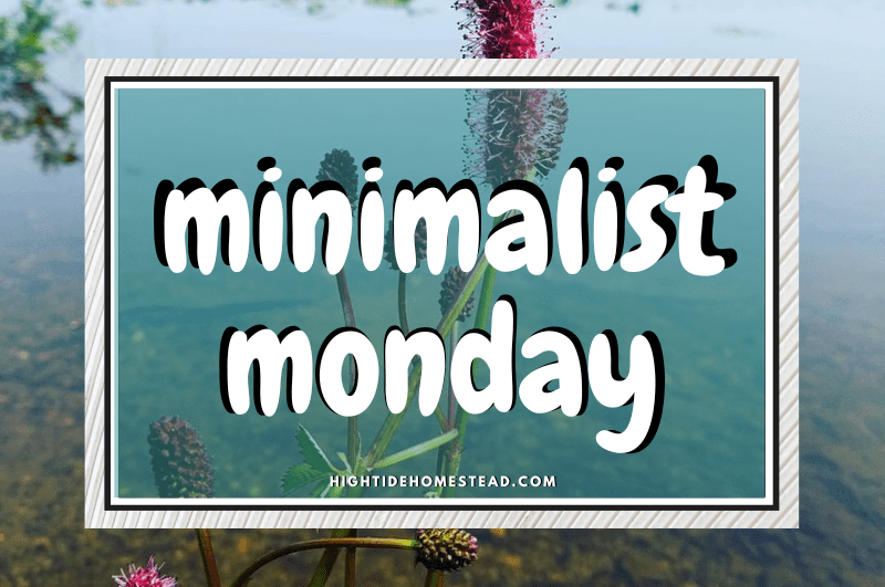 Minimalist Monday - hightidehomestead.com