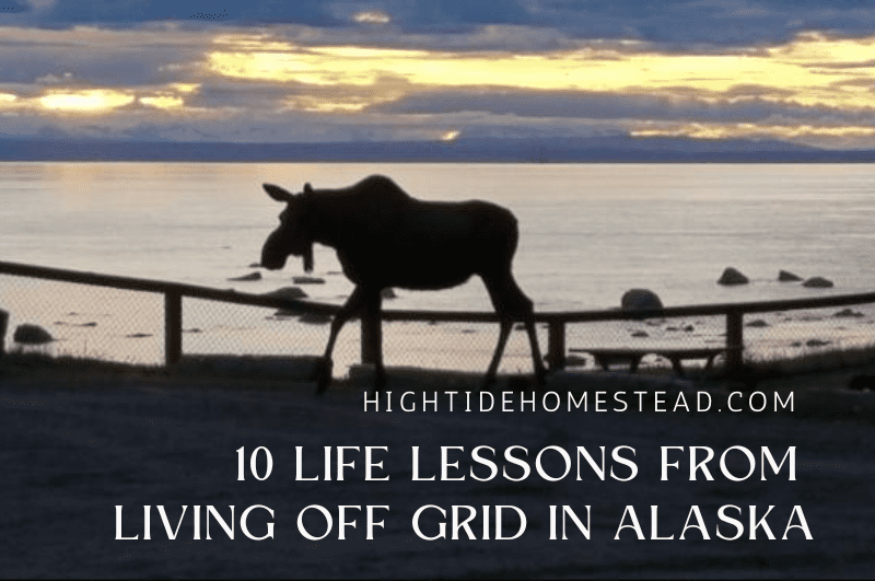 10 Life Lessons From Living Off Grid In Alaska - hightidehomestead.com