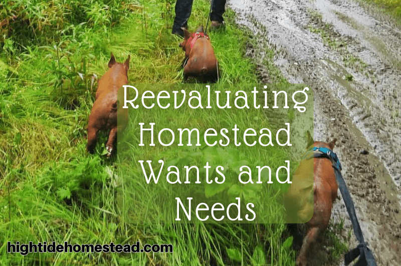 Reevaluating Homestead Wants and Needs - hightidehomestead.com