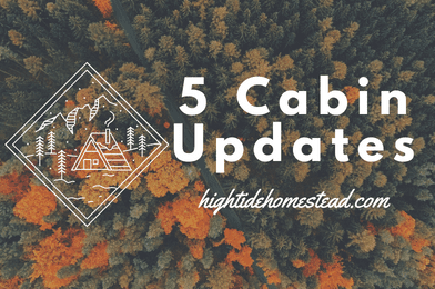 5 Cabin Updates