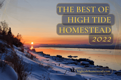 The Best Of High Tide Homestead 2022 in Videos